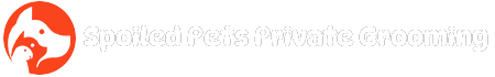 Responsive Logo